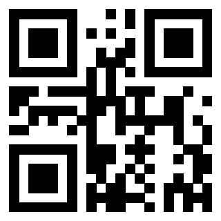 QrCode di 3302995972