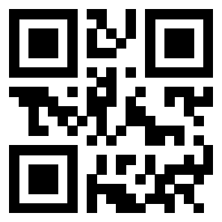Il Qr Code di 3302995983