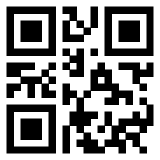 QrCode di 3302996533