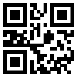 Il Qr Code di 3302997573