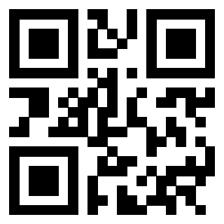 Il Qr Code di 3302997636
