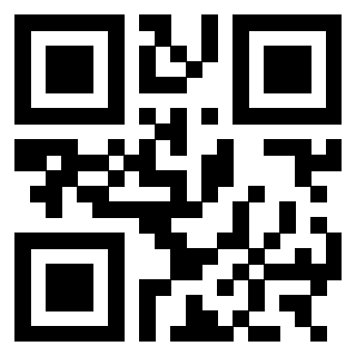 QrCode di 3303007474