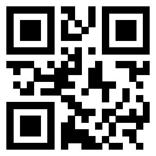 QrCode di 3303007493