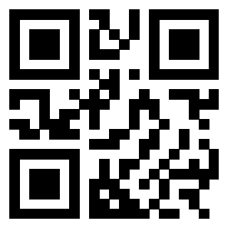 3303007528 - Immagine del QrCode associato