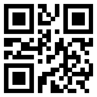 3303008125 QrCode associato