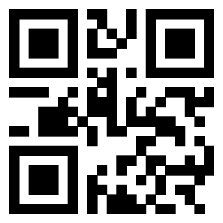 3303032049 - Immagine del QrCode