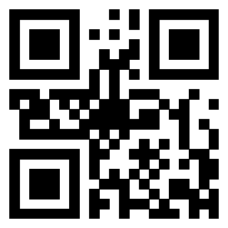 Il Qr Code di 3303032102