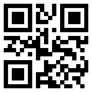 3303032221 - Immagine del QrCode
