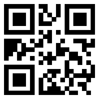3303032317 - Immagine del QrCode