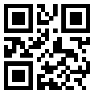3303032484 - Immagine del QrCode