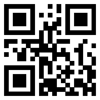 3303032489 - Immagine del QrCode