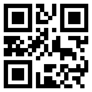3303032493 - Immagine del QrCode