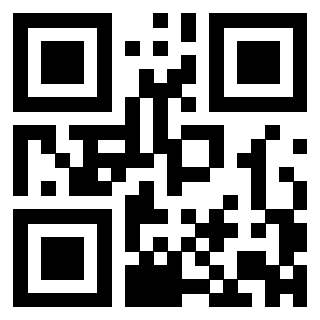 3303032509 - Immagine del QrCode