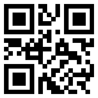 3303032538 - Immagine del Qr Code
