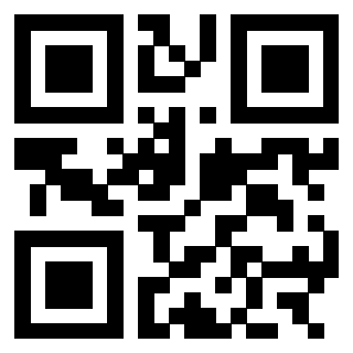 3303032809 - Immagine del QrCode