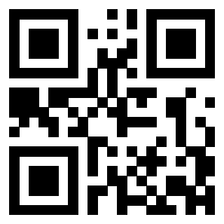 Il Qr Code di 3303032909