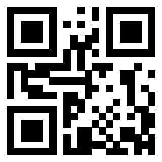 Il Qr Code di 3303032928