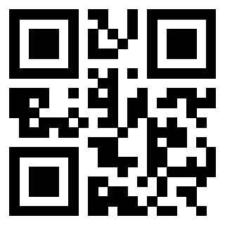 3303057747 - Immagine del QrCode