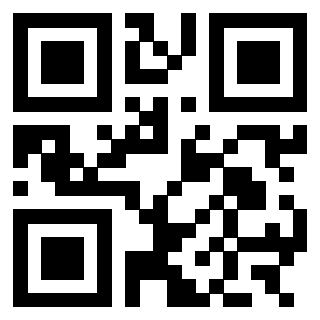 3303058080 Qr Code associato