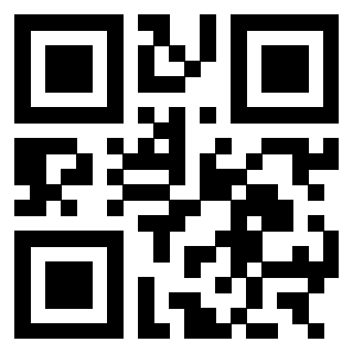 3303058095 QrCode associato