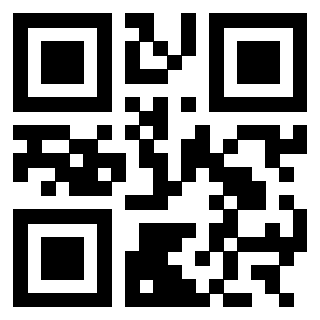 3303058113 QrCode associato