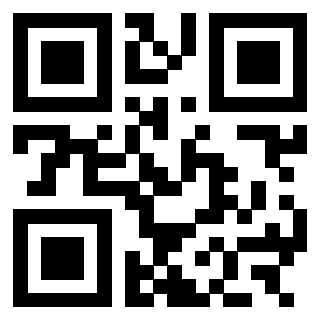 3303069384 - Immagine del QrCode associato