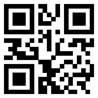 3303069660 - Immagine del QrCode