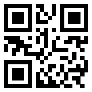 3303069663 - Immagine del QrCode