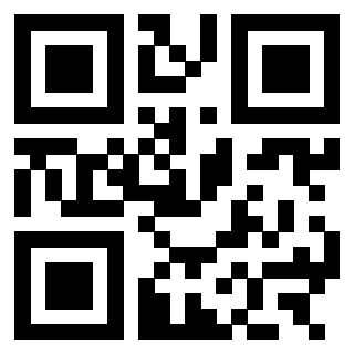 3303069704 - Immagine del QrCode