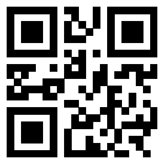 3303069745 - Immagine del QrCode