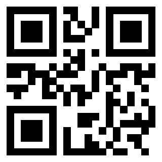 3303069787 - Immagine del QrCode