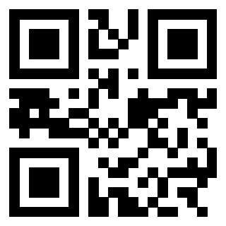 3303069810 Qr Code associato
