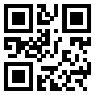 3303069920 Qr Code associato