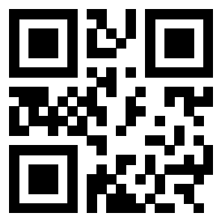 3303069953 - Immagine del QrCode