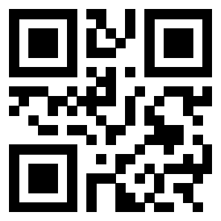 3303070060 QrCode associato
