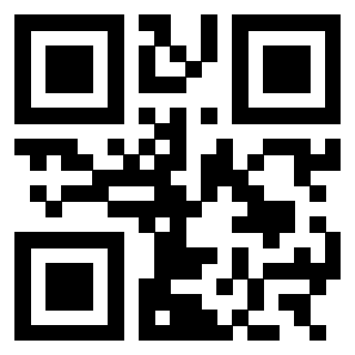 3303070113 QrCode associato