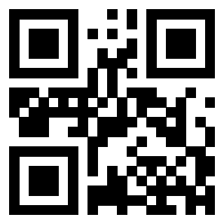 Il Qr Code di 3303140255