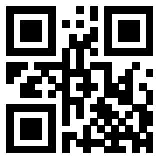 3303140553 - Immagine del QrCode