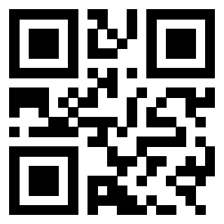 3303141069 - Immagine del QrCode associato