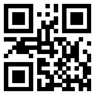 3303230062 - Immagine del QrCode