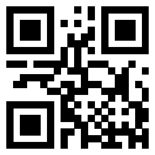 3303230138 - Immagine del QrCode