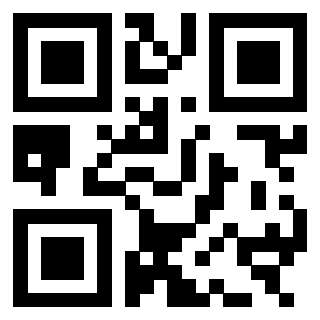 3303230308 QrCode associato