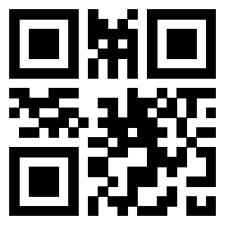 3303230605 - Immagine del QrCode