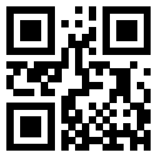 3303230638 - Immagine del QrCode