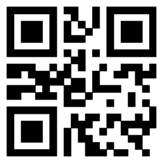3303230663 - Immagine del QrCode