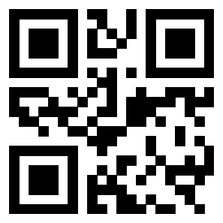 3303230806 - Immagine del QrCode