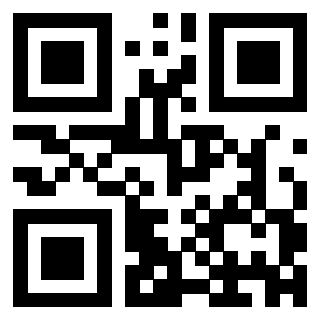 3303276091 - Immagine del QrCode