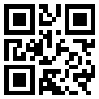 3303276333 QrCode associato