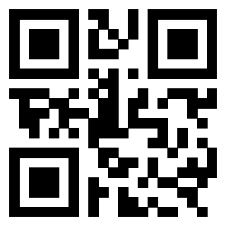 3303365173 Qr Code associato