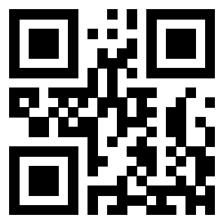 3303365313 - Immagine del QrCode